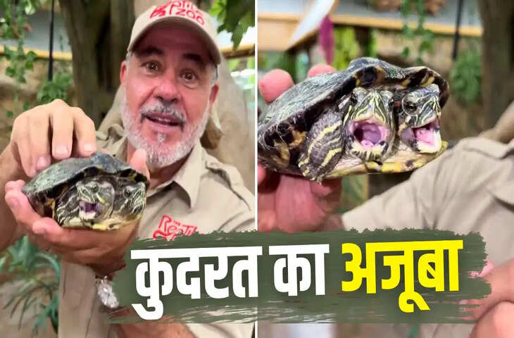 इंस्टाग्राम पर छाया अजीबो-गरीब वीडियो, दो सिर वाले कछुए ने खींचा ध्यान