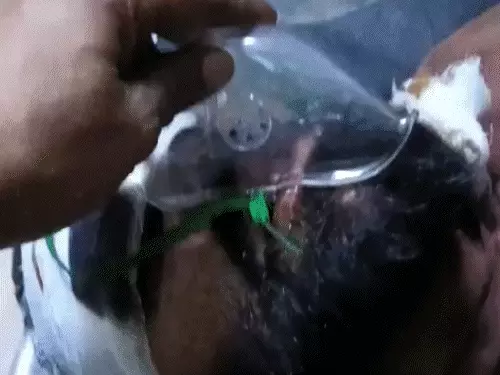 मैच में हार की रंजिश में युवक से मारपीट, टॉयलेट करने का भी आरोप; पीड़ित बोला- जान से मारना चाहते हैं