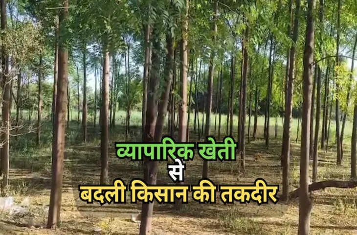 बेंगलुरु से आए इस आइडिया ने बदली भरतपुर के किसान की किस्मत, 55 हजार लगाकर हर साल कमा रहा लाखों का रिटर्न