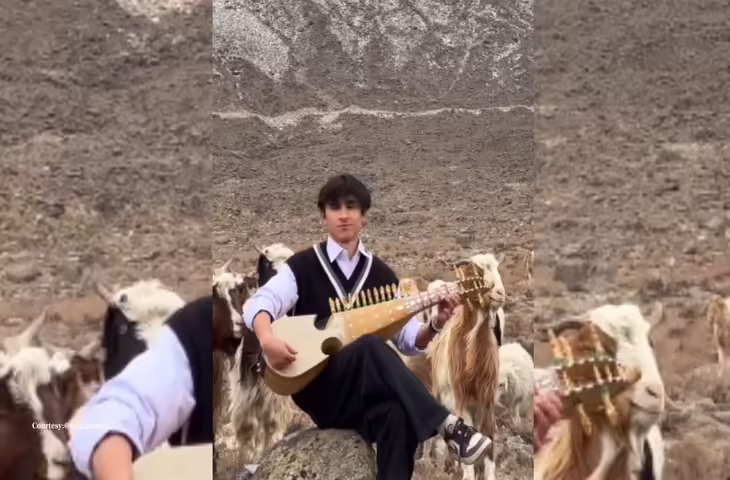 पहाड़ों में गूंजी ऐसी मधुर धुन कि जंगल से बाहर आ गए जानवर, वीडियो देख लोग बोले&mdash;ये तो &lsquo;तानसेन की बुआ का लड़का&rsquo; है