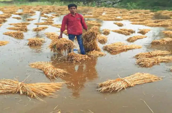 Udaipur शहर में तेज हवाओं के साथ छिटपुट बारिश, कोटड़ा में ओलावृष्टि, शारदा-खेरवाड़ा में झमाझम बारिश