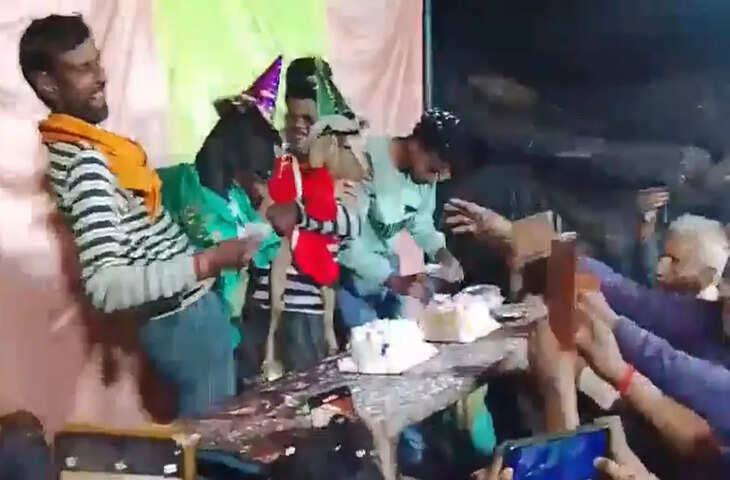 200 लोगों की दावत और DJ...' इन्सान छोड़ो इस भाई ने तो बना डाला बकरियों का बर्थडे,&nbsp;वीडियो वायरल