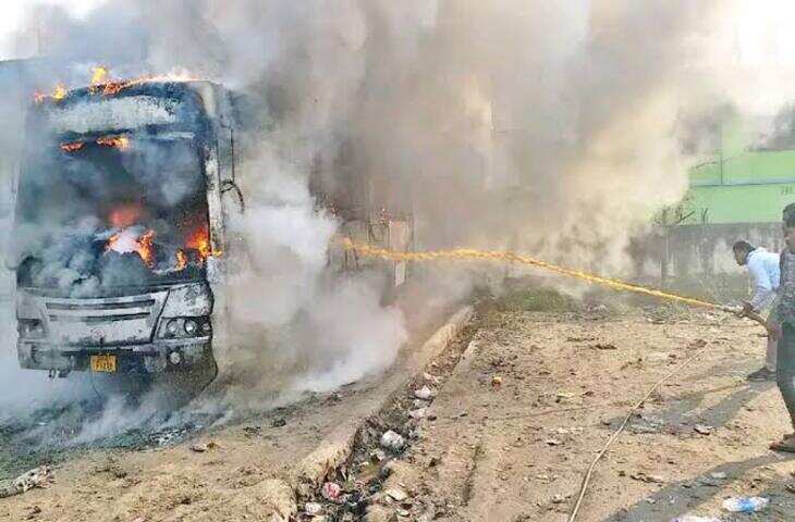 बुधनी में यात्री बस के सामने आया बाघ, सड़क पर टहलने के बाद झाड़ियों में गायब; खटपुरा-धामनखेड़ा में दहशत