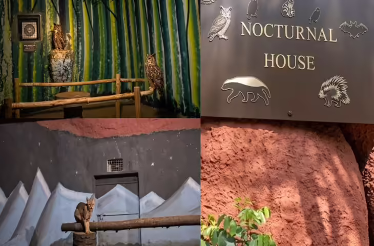 Hyderabad का रहस्यमयी &ldquo;Nocturnal House&rdquo;: जहां दिन में होती है &lsquo;गुड नाइट&rsquo; और रात में &lsquo;गुड मॉर्निंग&rsquo;