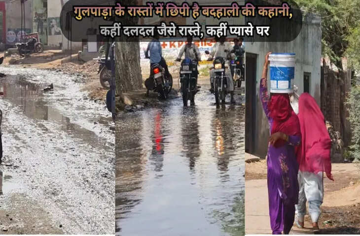 पंचायत चुनाव से पहले डीग के गुलपाड़ा गांव में नाराजगी, विकास के दावों पर उठे सवाल