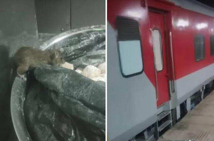 Surat Railway Station पर Puff खा रहा था चूहा, Video Viral होते ही मचा हड़कंप!