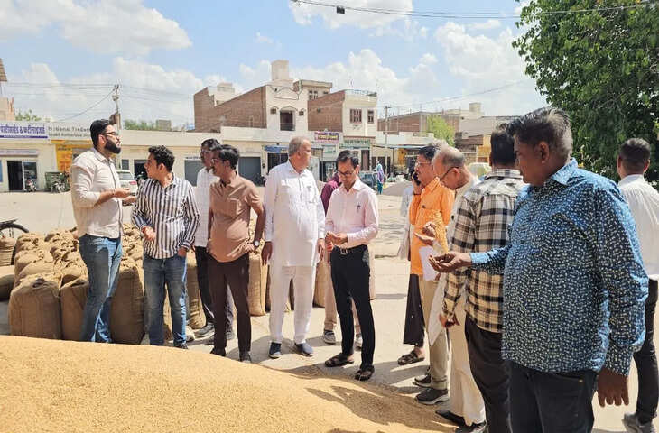 हनुमानगढ़ जंक्शन और पीलीबंगा मंडी में MSP पर सरकारी खरीद शुरू, प्रशासन के निरीक्षण के बाद बदले हालात