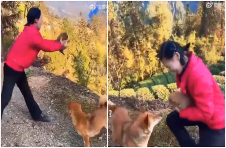 महिला ने पिल्ले को फेंकने की एक्टिंग कर डराया! मां डॉगी बेचैन होकर खोजती रही बच्चा, VIDEO वायरल​​​​​​​