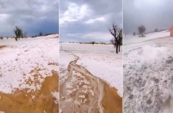 50 लाख की नौकरी छोड़ कंटेंट क्रिएशन की राह पर चली महिला, वीडियो हुआ वायरल