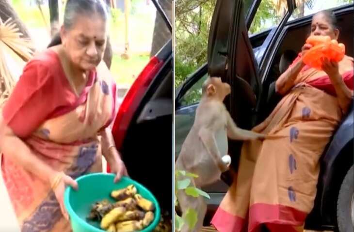 वर्दी उतरी, सेवा नहीं! 76 वर्षीय पूर्व पुलिस अधिकारी बनीं सैकड़ों बंदरों की &lsquo;मां&rsquo;, वीडियो ने जीत लिया लोगों का दिल