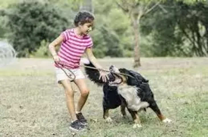 Noida पार्क में खेल रहे बच्चे को कुत्ते ने काटा