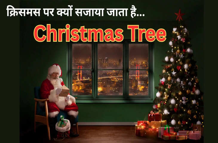 Christmas 2025 Special: बाइबिल में नहीं है जिक्र फिर भी क्यों हर साल सजाया जाता है क्रिसमस ट्री, जानिए इसका इतिहास&nbsp;