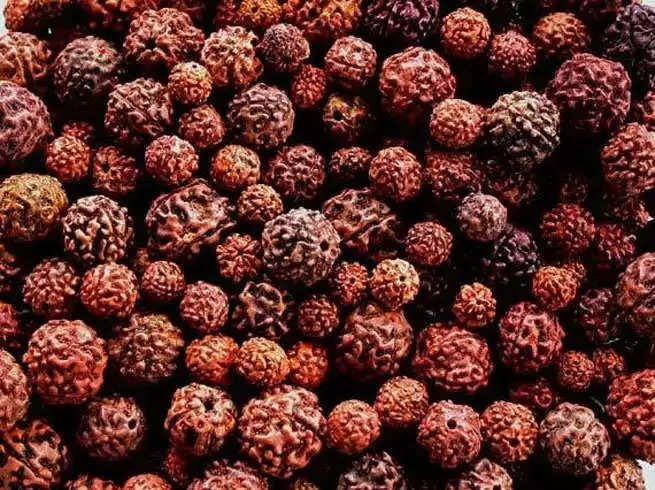 precautions to take before and after wearing rudraksha how to wear rudraksha 