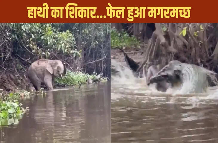 गजराज पर कहर बनकर टूटा ‘पानी का दैत्य’, दिखा ऐसा नजारा, दंग रह गए लोग