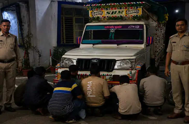 मवेशी चोरी गिरोह के 8 आरोपी गिरफ्तार: 5 मवेशियों को जबलपुर में बेचने की थी तैयारी, नकदी समेत 6.97 लाख का माल बरामद