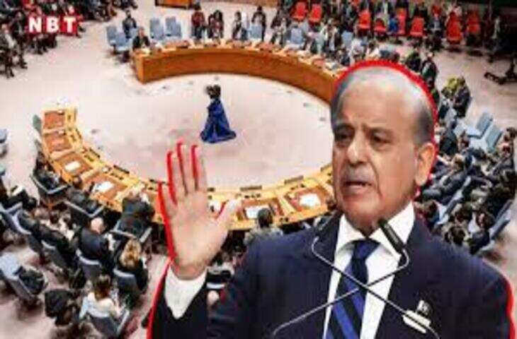 UNSC से पाकिस्तान की छुट्टी! पहली बार इस नए देश ने UN सुरक्षा परिषद में मारी एंट्री, वैश्विक स्तर पर बढ़ेगा दबदबा&nbsp;