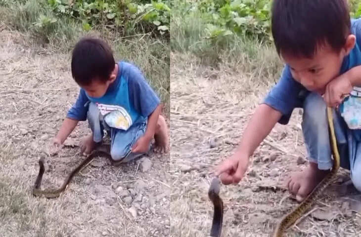 सोशल मीडिया पर वायरल हुआ बच्चा और सांप का बेखौफ वीडियो, नेटिजन्स हुए हैरान