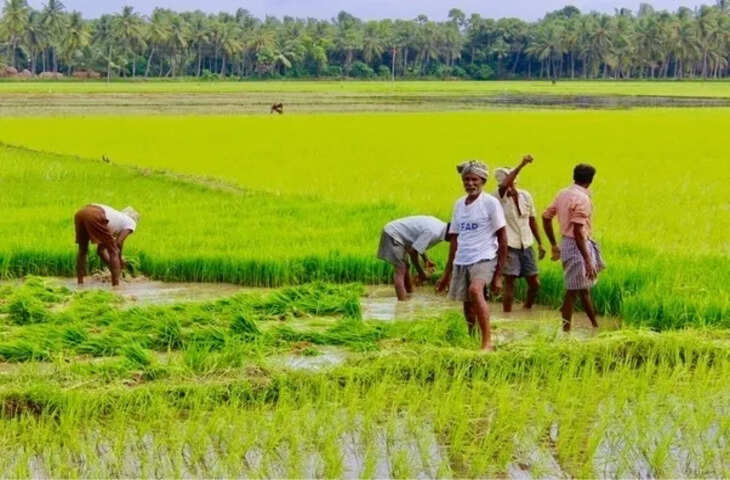 किसानों के लिए बड़ी राहत! प्राकृतिक आपदा या फसल बर्बाद होने पर मिल सकता है ₹22,000 प्रति एकड़ तक मुआवजा, जाने कैसे उठाए लाभ&nbsp;