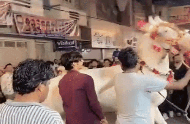 Viral Video: मनोरंजन के नाम पर घोड़ी पर बरसाए डंडे, वीडियो वायरल होते ही लोगों का फूटा गुस्सा​​​​​​​
