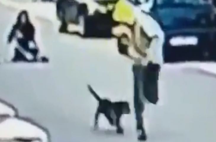 महिला को लूटने की कोशिश कर रहा युवक तभी कर दिया कुत्ते ने हमला, वीडियो में देखें फिर हुआ क्या