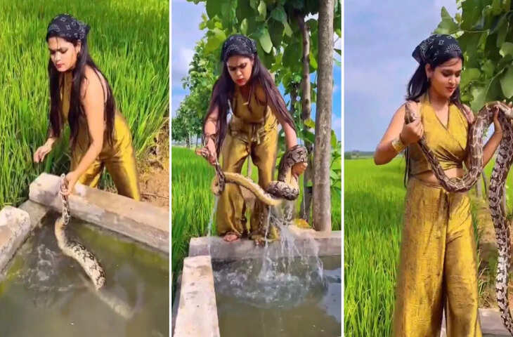 शॉकिंग और हिम्मत भरा वीडियो: पानी में छिपे अजगर को लड़की ने बिना डरे धर दबोचा, एखकर काँप जाएगी रूह&nbsp;