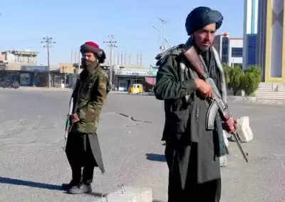 Taliban महिलाओं को छोड़कर, सरकारी कर्मचारियों की भर्ती शुरू करेगा !