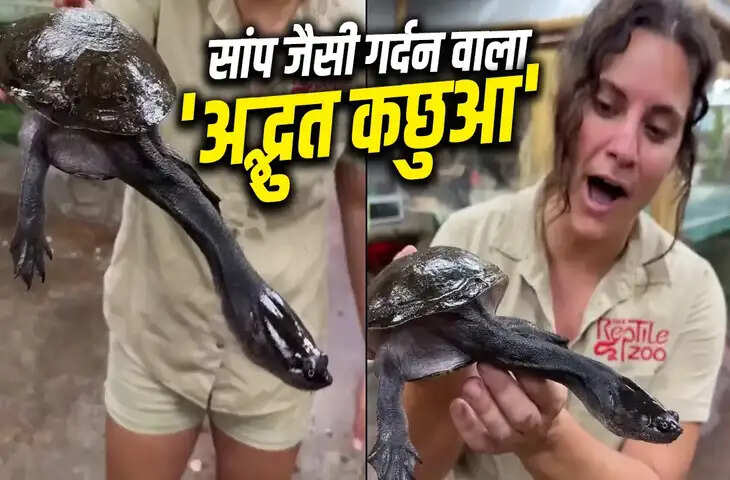 गर्दन अपने कवच से भी लंबी, पानी में शिकार करने वाला अनोखा कछुआ