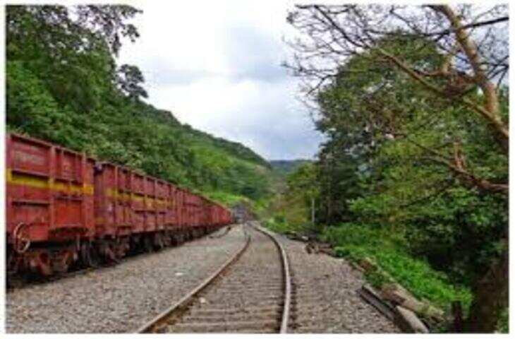 मालगाड़ियों के डिब्बे कितने प्रकार के होते हैं? जानिए किसका क्या होता है काम