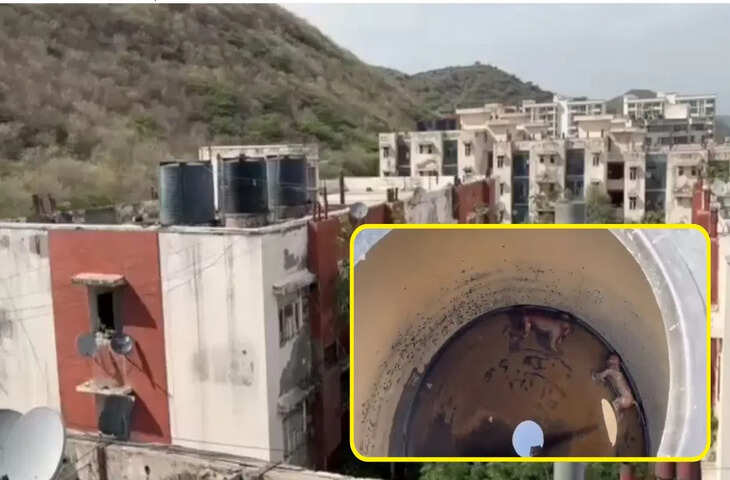 नूंह मेडिकल कॉलेज में बड़ी लापरवाही, पानी की टंकी में मिले तीन मृत बंदर