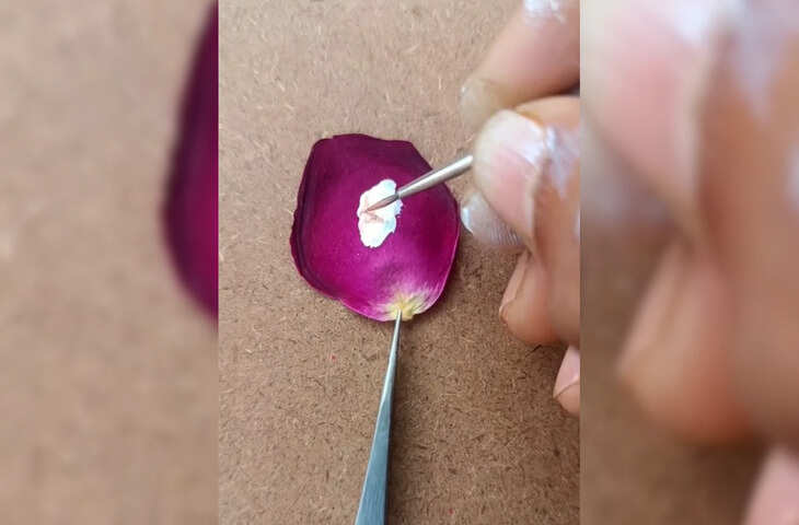 गुलाब की पंखुड़ी पर शख्स ने बनाया महाकाल का अद्भुत चित्र, वीडियो देख पूरा इन्टरनेट हो गया भाव विभोर&nbsp;