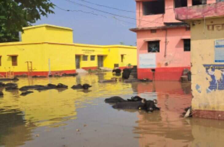 गंगा का जलस्तर घटा, लेकिन खतरे के निशान से 1.03 मीटर ऊपर; बेगूसराय में बाढ़ पीड़ितों की परेशानी बरकरार