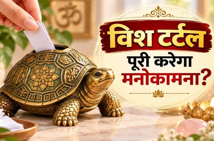 फेंगशुई टिप्स: क्या विश टर्टल सच में पूरी करता है हर मनोकामना? जानें इस्तेमाल का सही तरीका