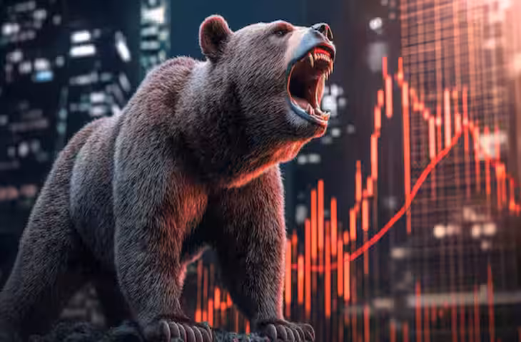 Stock Market