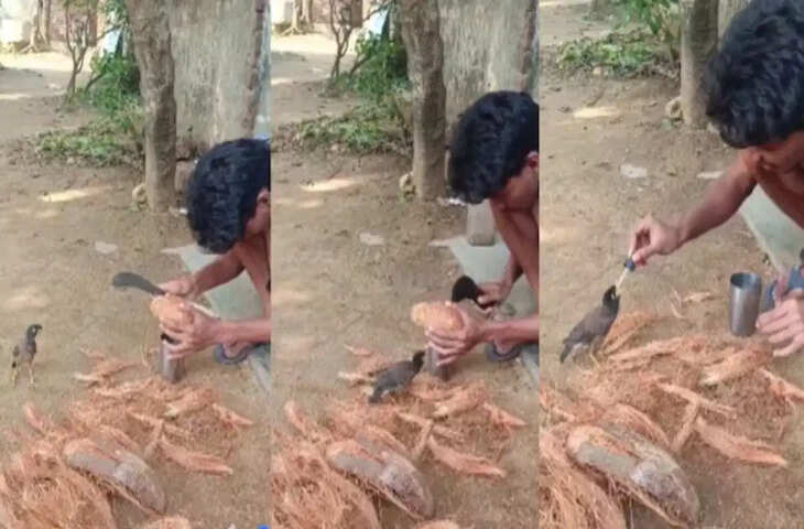 दिल छू लेने वाला वीडियो! चिड़िया और शख्स की दोस्ती के इस क्लिप को देख आप भी हो जाएंगे इमोशनल&nbsp;