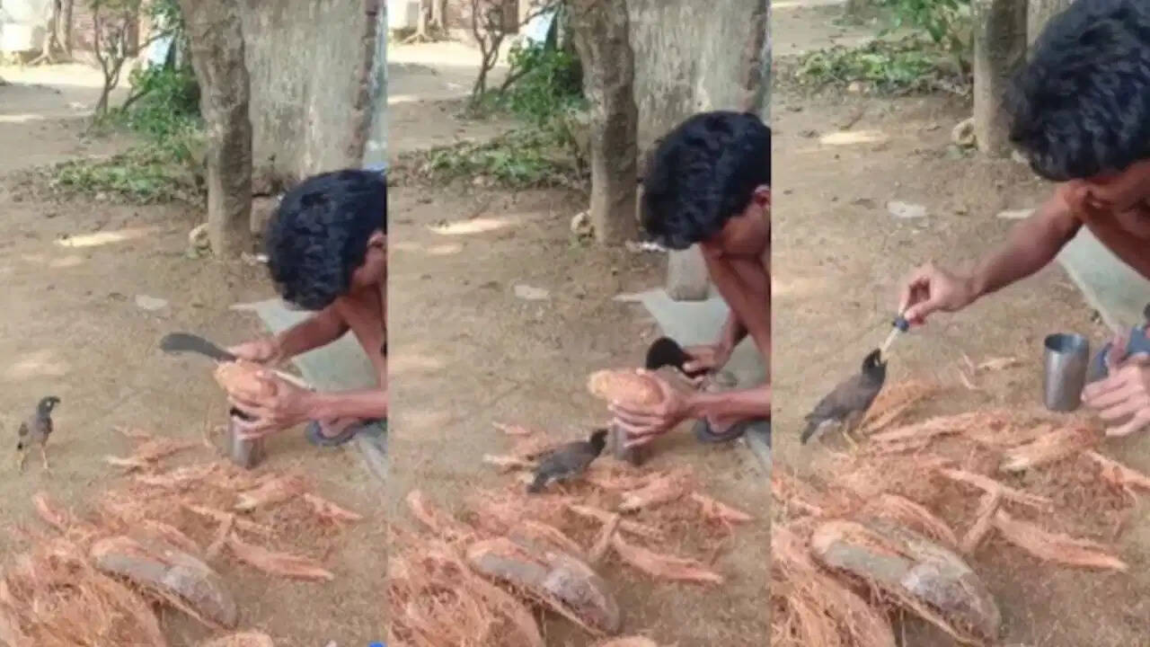 दिल छू लेने वाला वीडियो! चिड़िया और शख्स की दोस्ती के इस क्लिप को देख आप भी हो जाएंगे इमोशनल