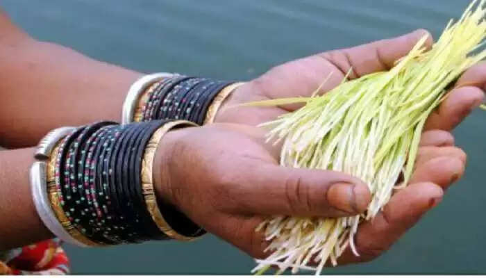 bhujariya festival 2022 on 12 august bhujariyab festival will be celebrated today know importance and significance