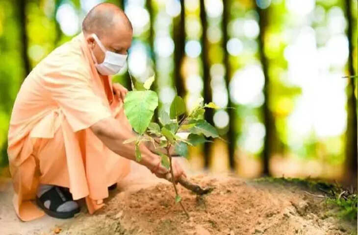 उत्तर प्रदेश में विश्व पर्यावरण दिवस पर 'एक पेड़ मां के नाम' अभियान, पांच करोड़ पौधों का रोपण