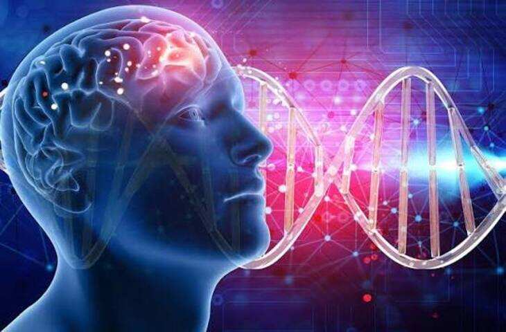 क्या आप जानते हैं इंसान के दिमाग की स्टोरेज कितनी होती है? सुपरकंप्यूटर भी पड़ जाता है इसके आगे फीका