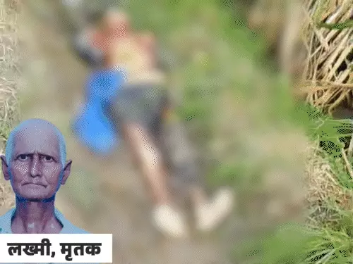 मेरठ में आवारा कुत्तों का आतंक, खेत में किसान को नोच-नोचकर मार डाला; पोता पहुंचा तो मिला शव