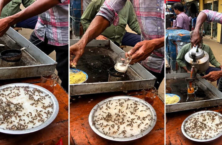 चाय पीने से पहले जरूर देखें यह वायरल वीडियो, मक्खियों वाली चीनी का सच जानकर दोबारा सोचने पर हो जाएंगे मजबूर