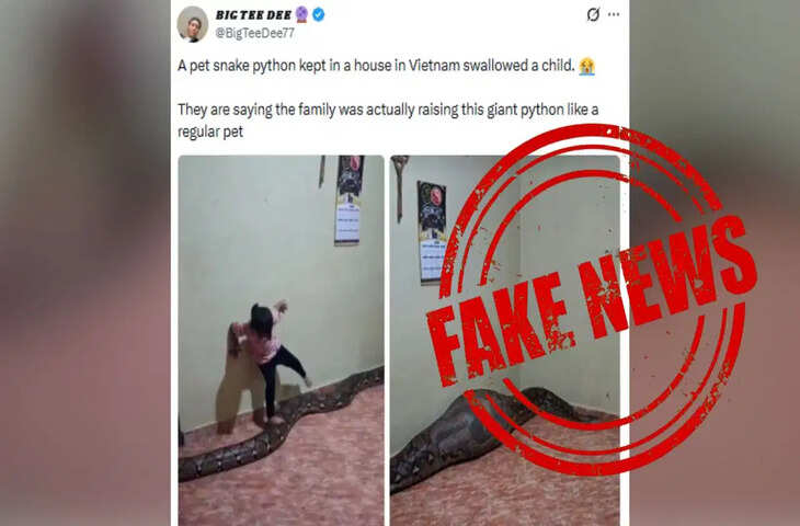वियतनाम में अजगर ने बच्ची को निगल लिया? वायरल दावे की क्या है सच्चाई, जानें पूरा मामला