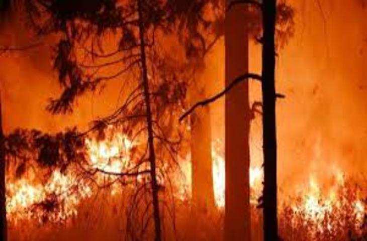 Dehradun पहाड़ों में भडक रही आग, रोकथाम के लिए वन विभाग झाप पर निर्भर, जिम्मेदारी लेने को कोई नहीं तैयार