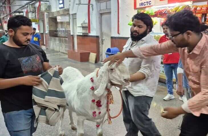 6 फीट लंबा और 160 किलो वजन वाला बकरा बना आकर्षण का केंद्र, मुगलसराय में चर्चा में अनोखा &lsquo;विशाल बकरा&rsquo;