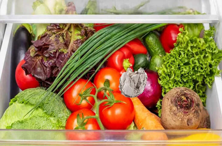 Kitchen Tips: फ्रिज में रखी हरी सब्जियां जल्दी हो जाती हैं खराब? ताजगी बनाए रखने के लिए अपनाएं ये आसान तरीके