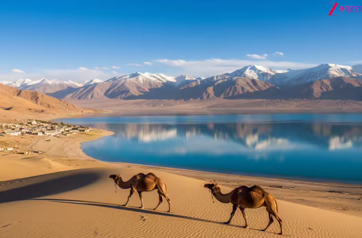 भारत का चमत्कारिक स्थल: दिखेगी बर्फ की सफेदी और रेगिस्तान की रेत एक साथ, एकबार जरूर घूमे ये अनोखा स्थान&nbsp;