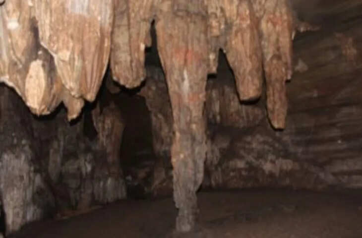 छत्तीसगढ़ के घने जंगलों में रहस्यमयी गुफा, बिना आंखों वाली मछलियों ने खींचा वैज्ञानिकों का ध्यान