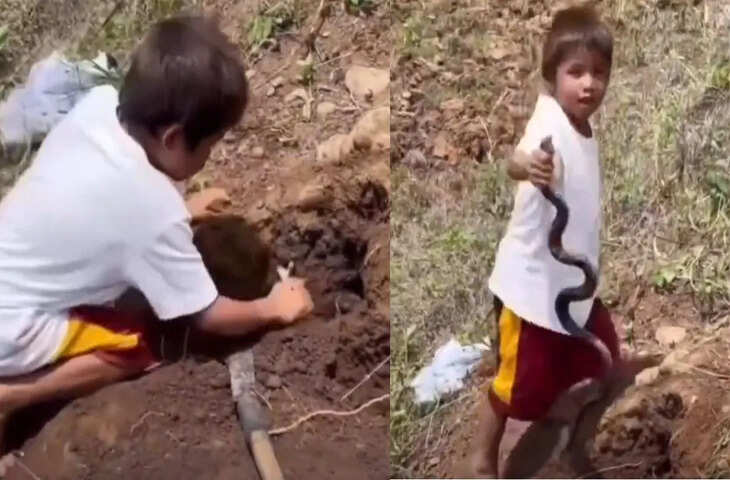 हैरान कर देने वाला वीडियो: बच्चे ने बिना डरे पकड़ लिया जहरीला सांप, वीडियो देख फटी रह जाएंगी आँखें&nbsp;