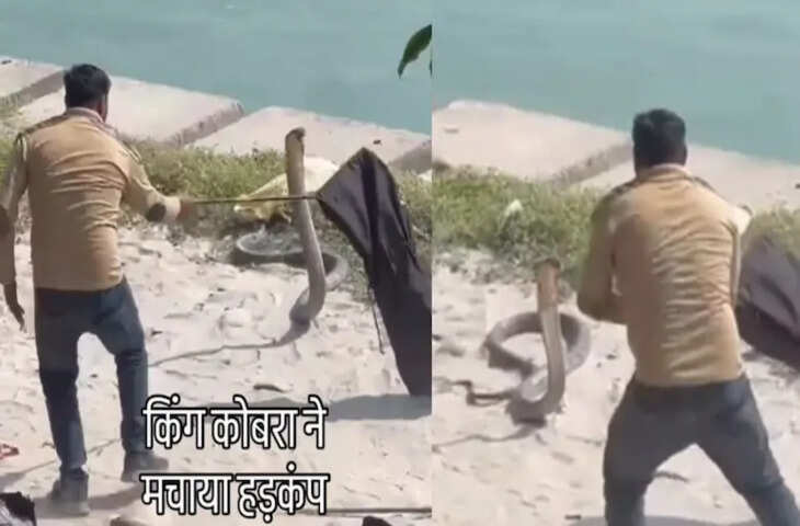 गंगा किनारे स्नान कर रहे थे लोग,तभी मंडराते नजर आए 13 से 15 फुट लंबे 'नागराज', मंजर देख डर से कांप उठेगा कलेजा