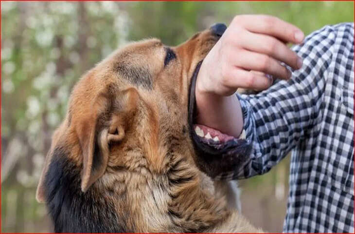 कल्याण में बैंक कर्मचारी ने रेबीज के डर से की आत्महत्या