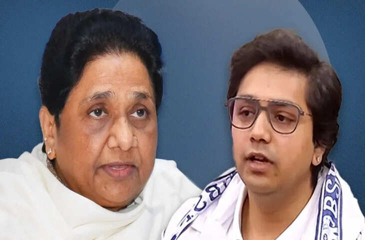बसपा के प्रचार के बावजूद नतीजे रहे निराशाजनक, आकाश आनंद समेत वरिष्ठ नेताओं की मेहनत पर नहीं दिखा असर